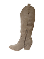 Botas Altas Bordadas Terciopelo